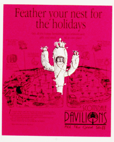 Scottsdale Pavilions.5